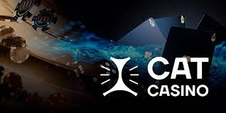 Зарегистрируйтесь и получите бонусы от азартного сайта Cat Casino